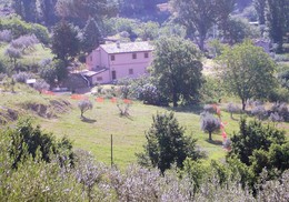 Casa del bene Casa del bene